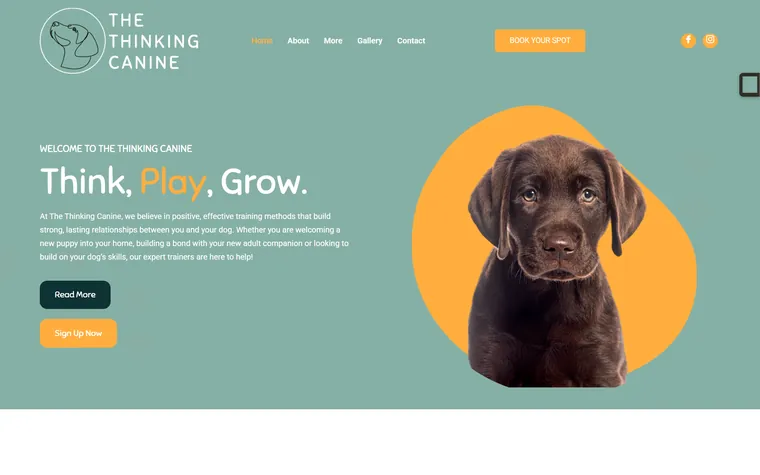 The Thinking Canine — Dog Training School website designed and built by FUTR Agency